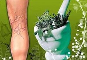 Herbas para tratar varices
